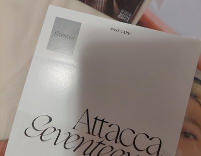 ❤️💎SEVENTEEN 生寫真 書籤 特典 照片 拍立得 勝哲 淨漢 勝寛