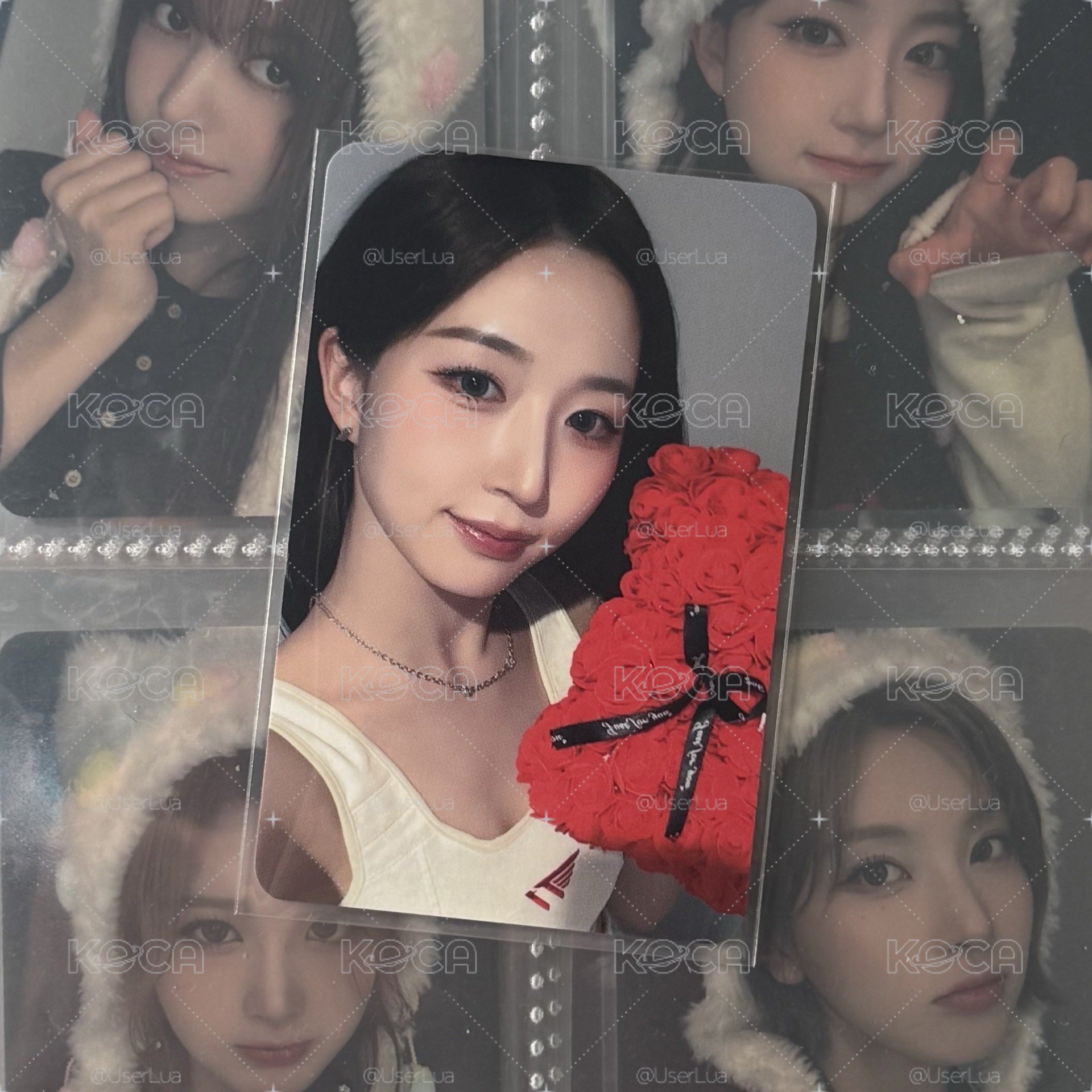 🌟Heavy Serenade ms玫瑰熊 嫄