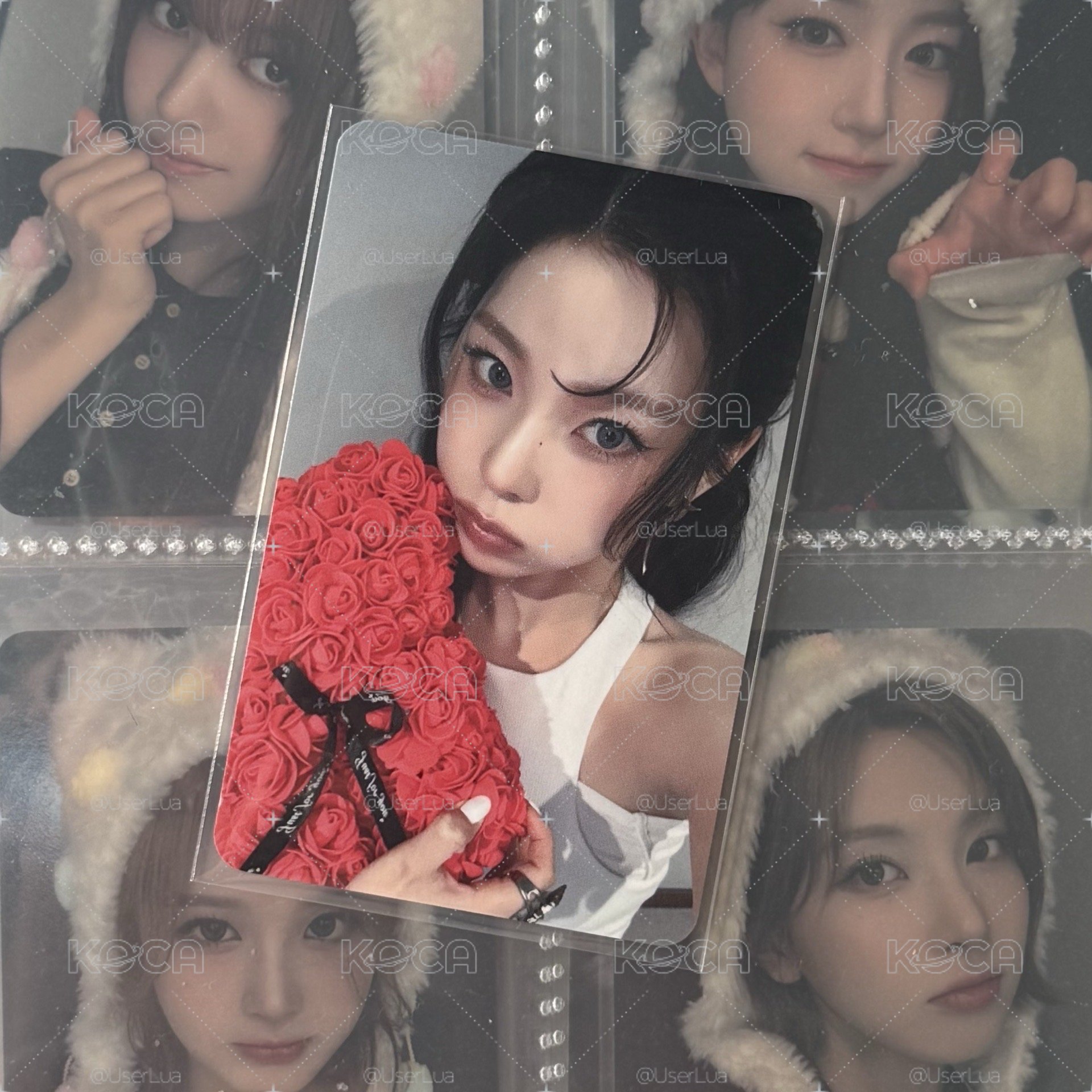 🐳Heavy Serenade ms玫瑰熊 圭