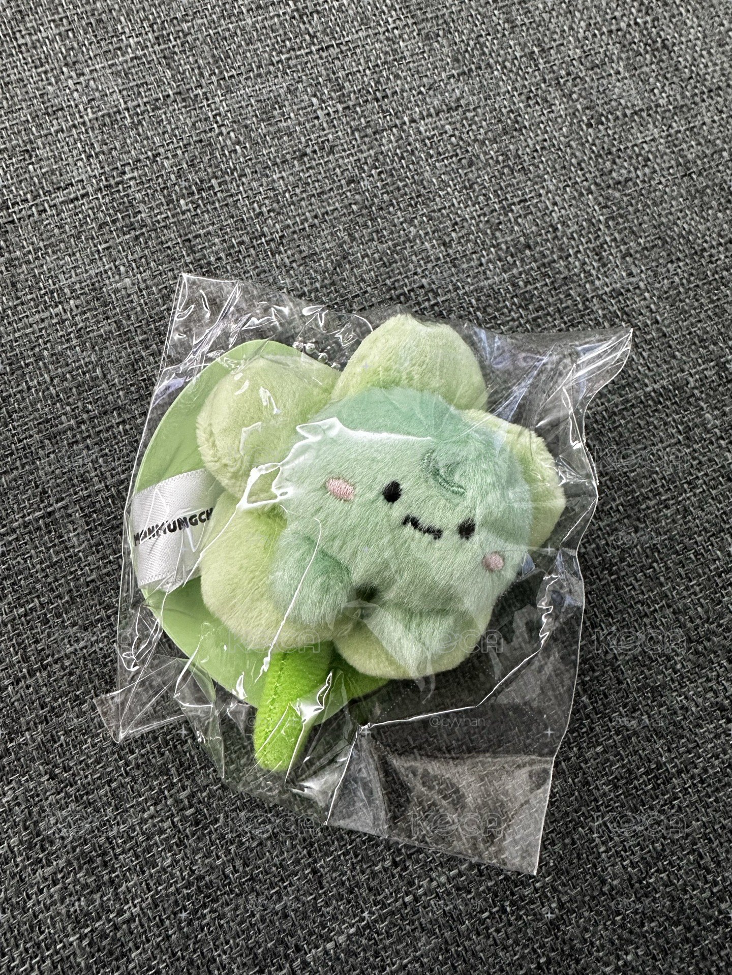 monsta x 🐢花花吊飾娃
