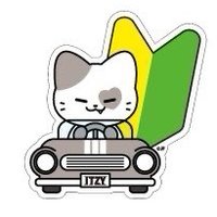 三巡 JYP JAPAN TWINZY E賞 線上 一番賞 貼紙 KKengEE