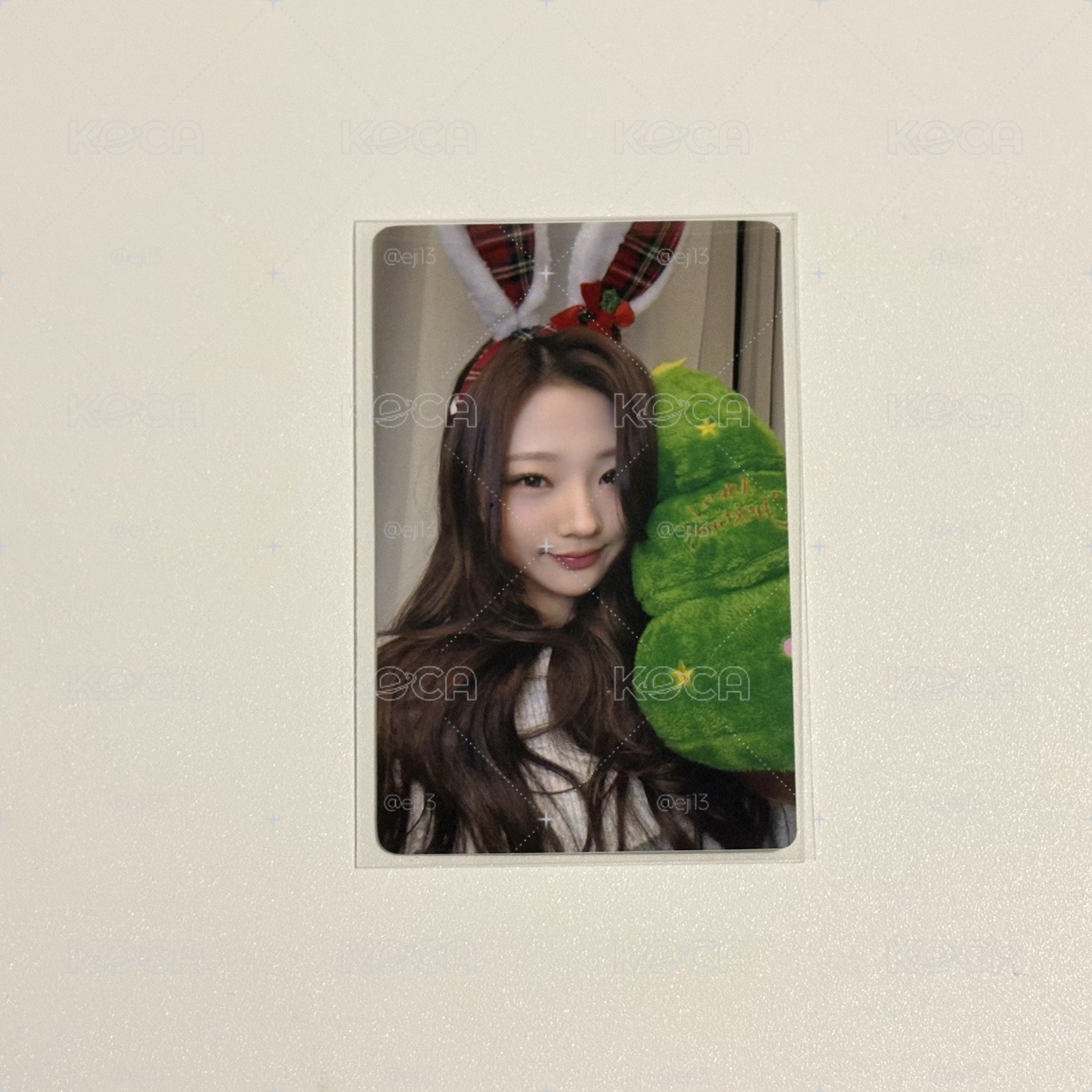 focus ju 2.0 Stella