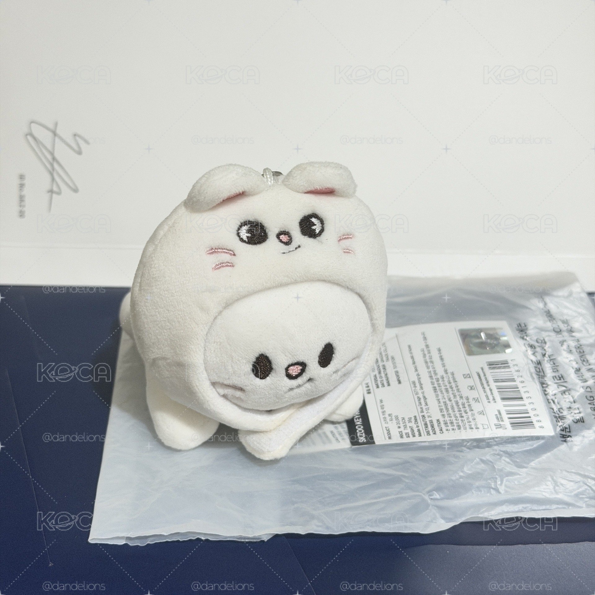 🌕辰趴娃
