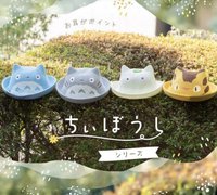 小陽帽