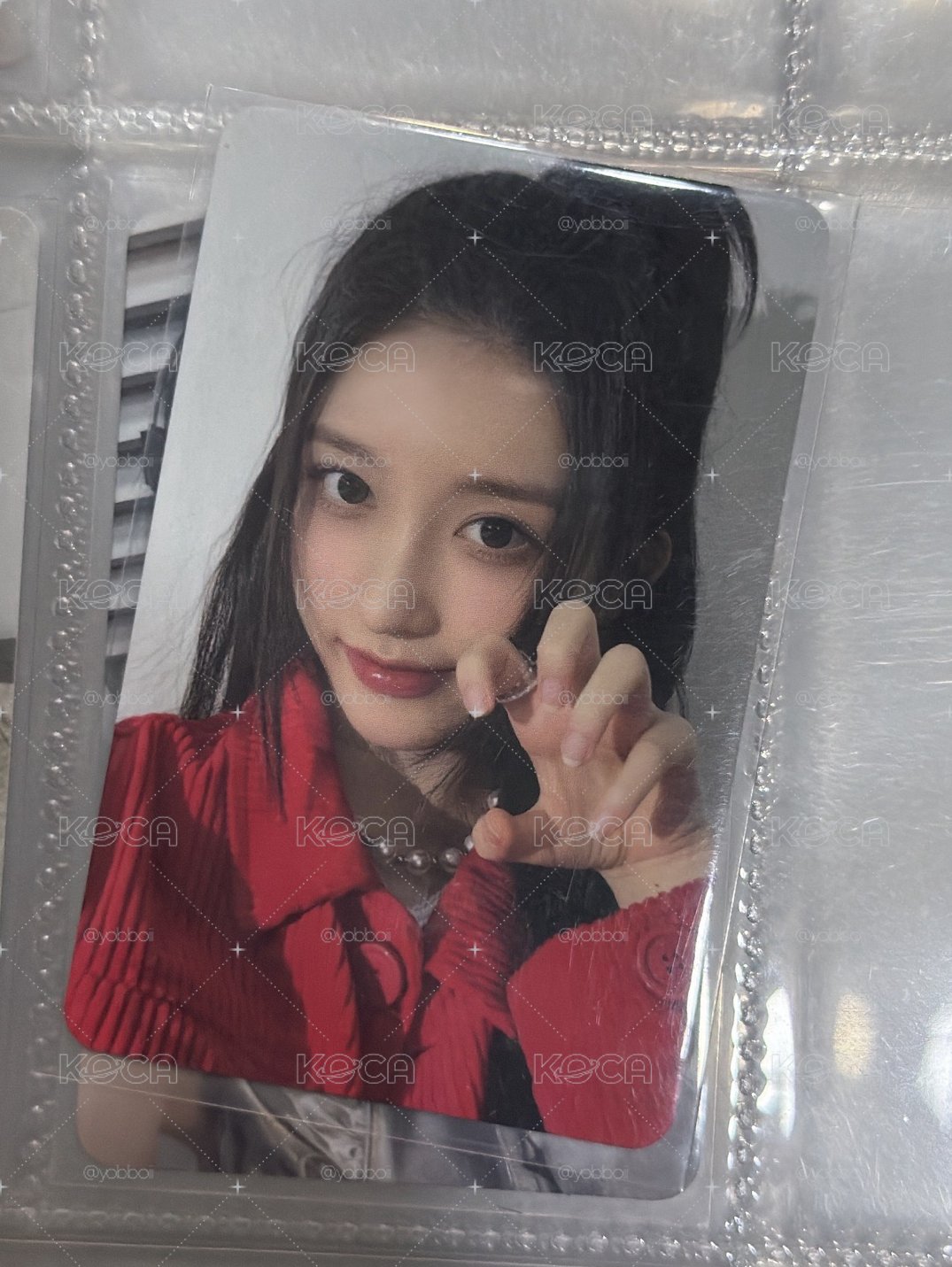 爪爪秋