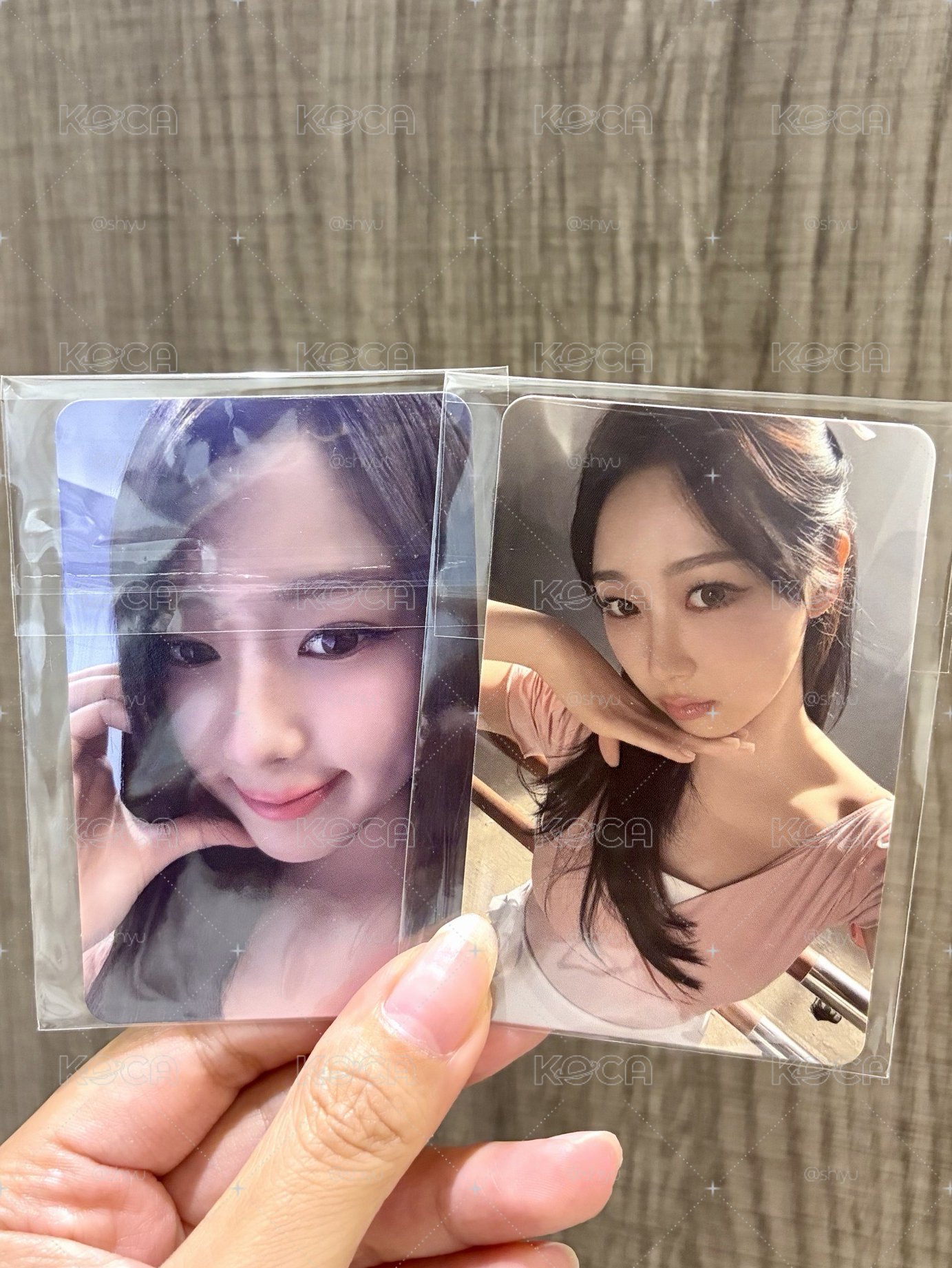 🩵二巡入場卡吉 DAY1&DAY2