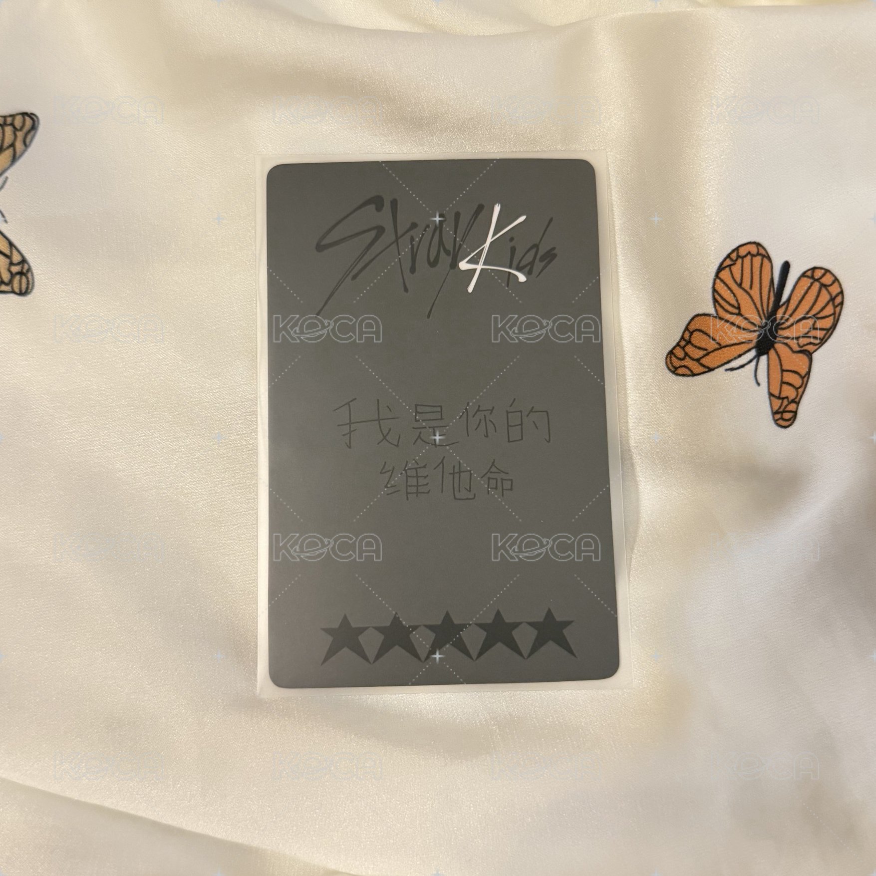 🌟一直娛 我是你的維他命