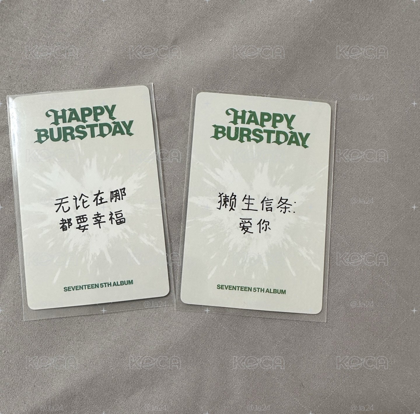 正規五圓燦中背