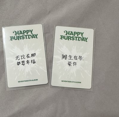正規五圓燦中背