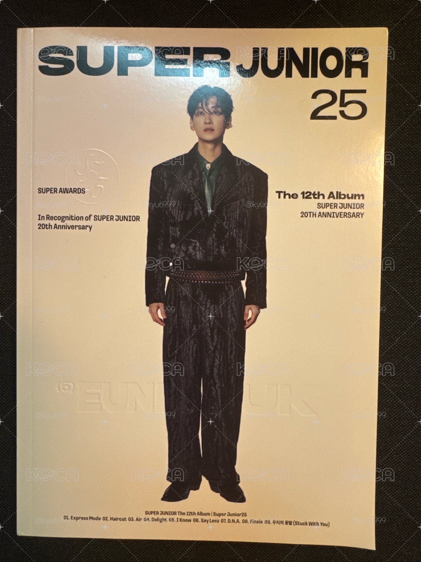 💙SJ 12輯photobook-銀赫