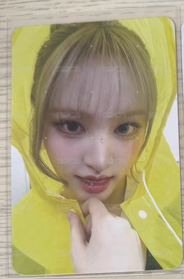 雨衣栗