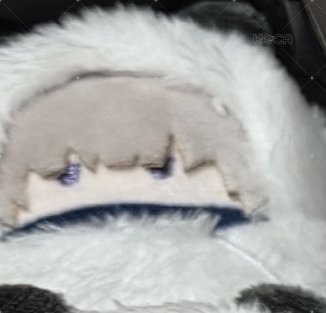 狗卷