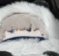 狗卷