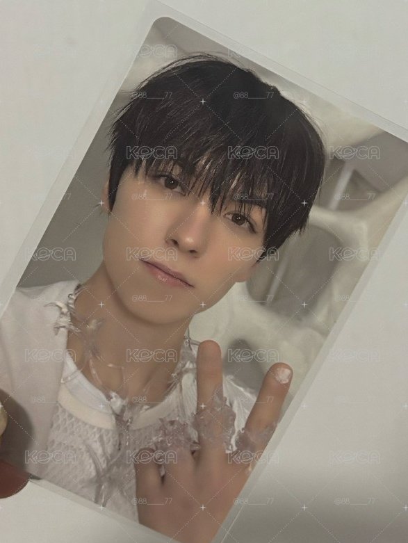 正五 wvs 特典卡 GV 率🐻‍❄️