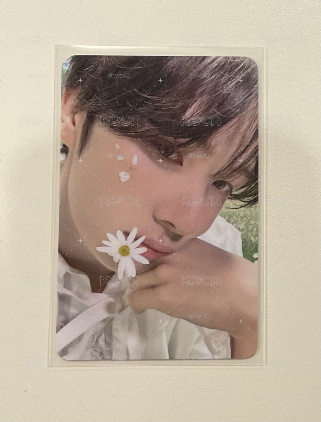 hl簽售卡