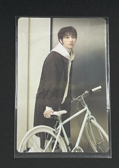Seventeen 24克拉島隨機卡 （含表演隊團體卡）