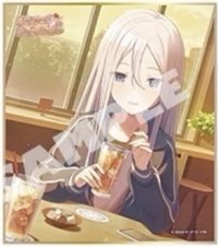 色紙 vol.63 C 色紙 繪名花前