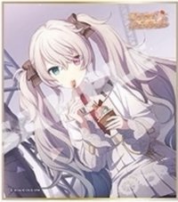 色紙 vol.63 C 色紙 繪名花前