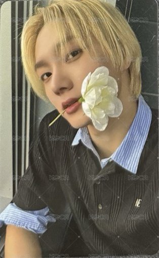 朴成淏特典卡