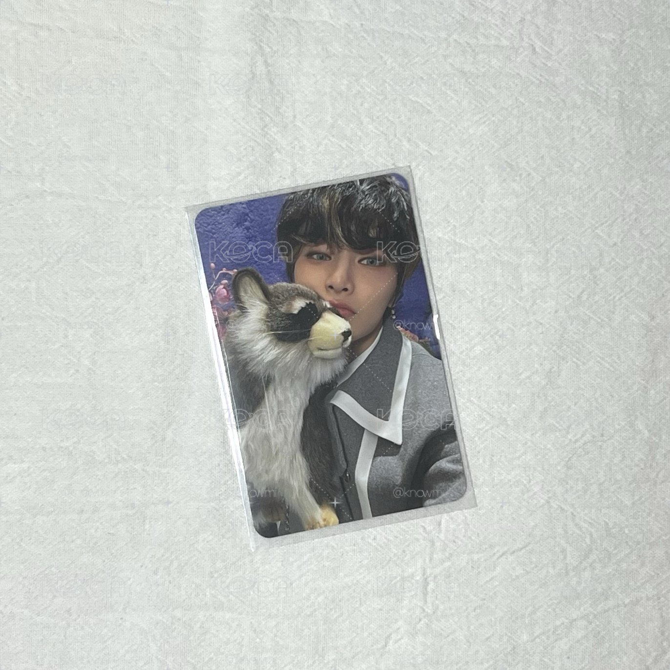 寅魔法學院粽卡⋈*｡