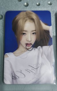 怜
