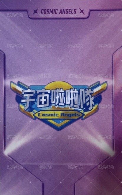 感謝演唱會 簽名卡  背面