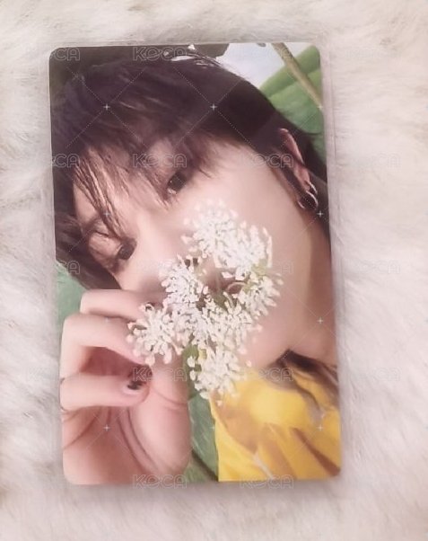 雨衣小花