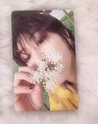 雨衣小花