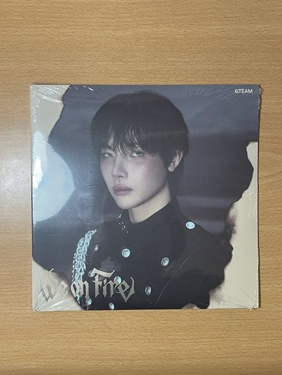 &TEAM nicholas btl yt特典卡 一卡一專