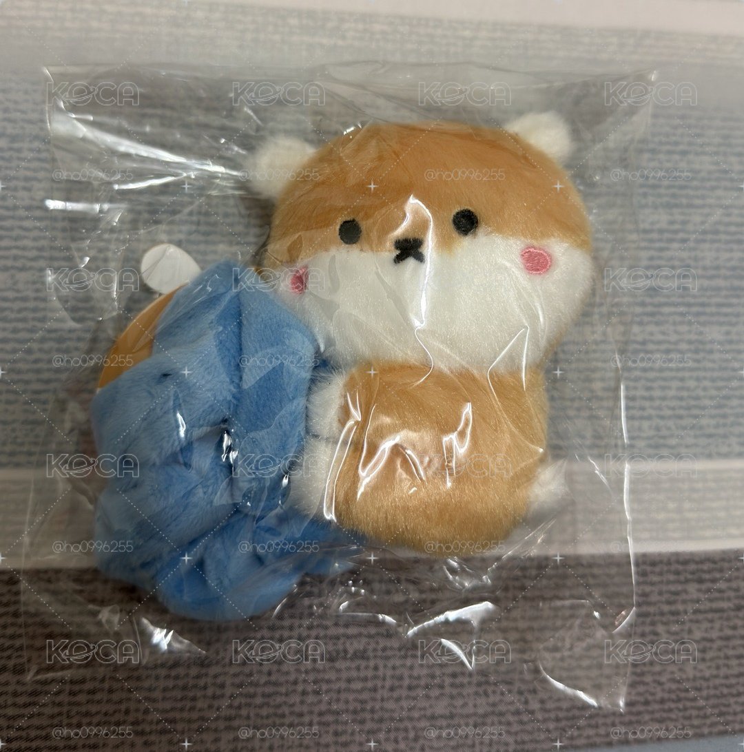 🐹大腸圈