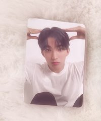 狗狗碩