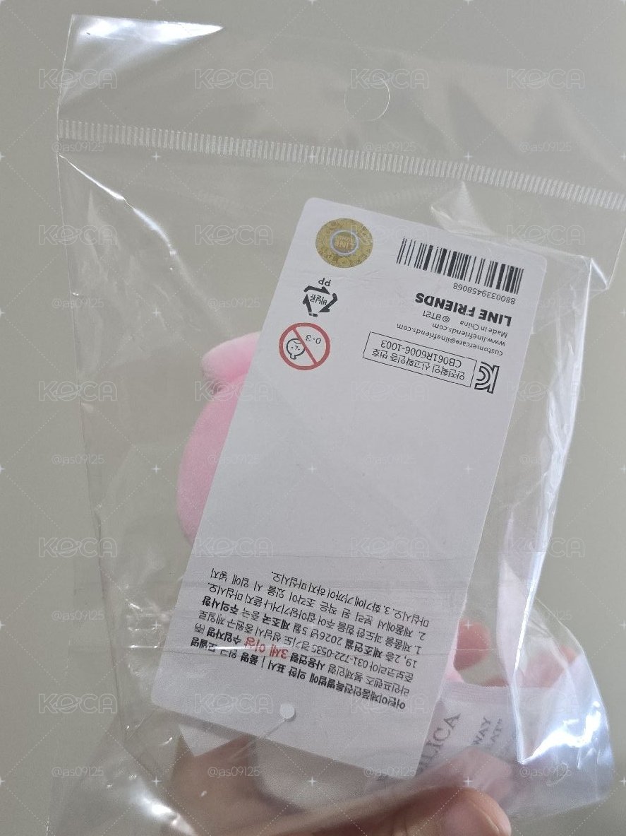 BT21 釜山螢幕娃 Cooky