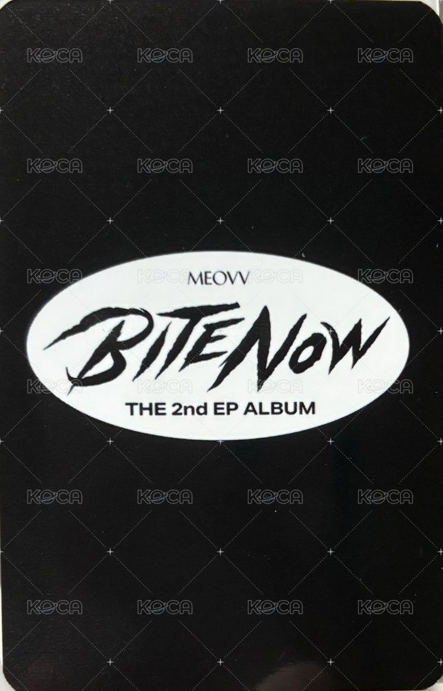 BITE NOW mp 線下 簽售卡  背面