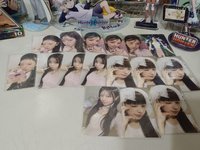 萌花全收