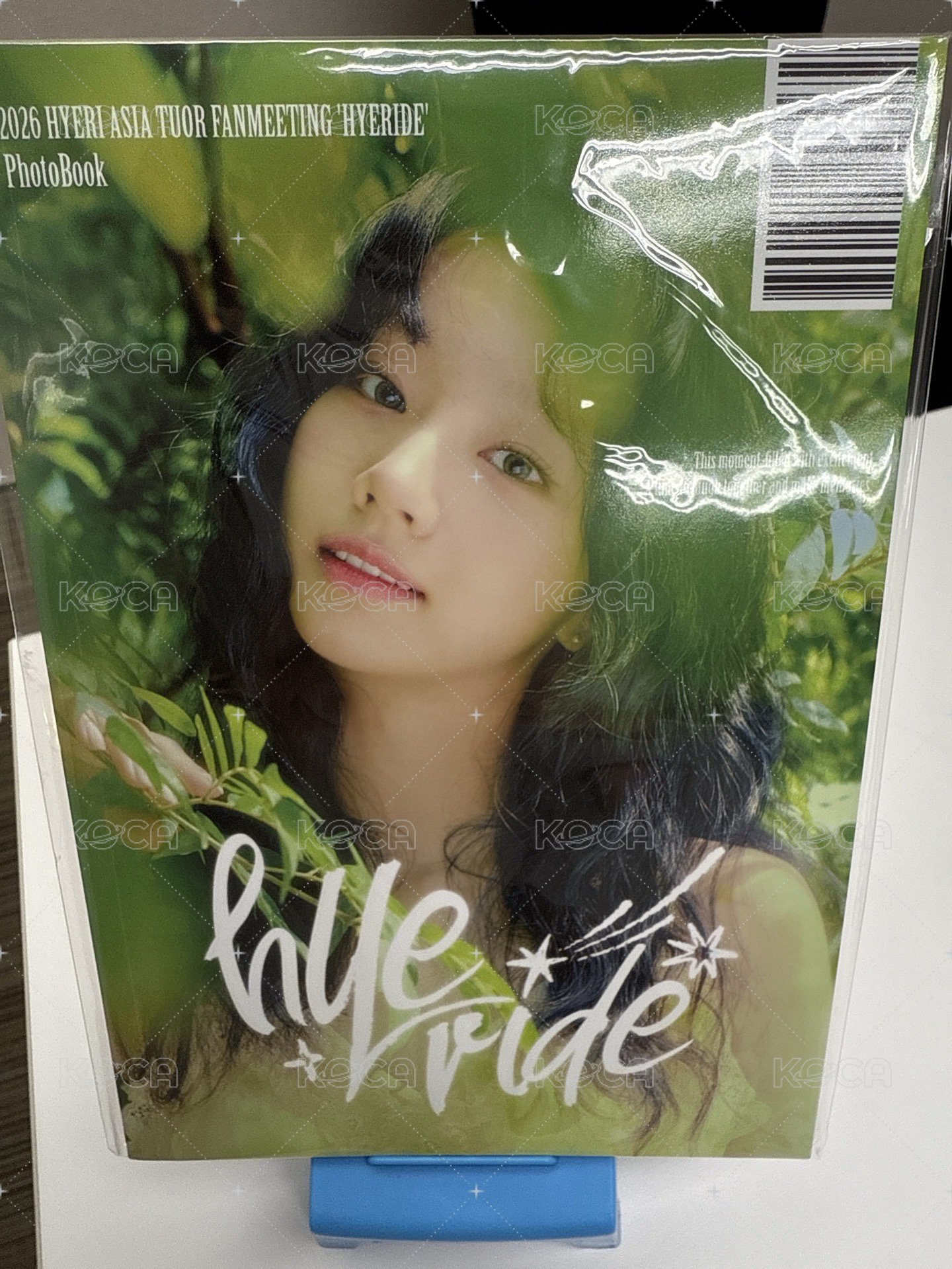 寫真書
