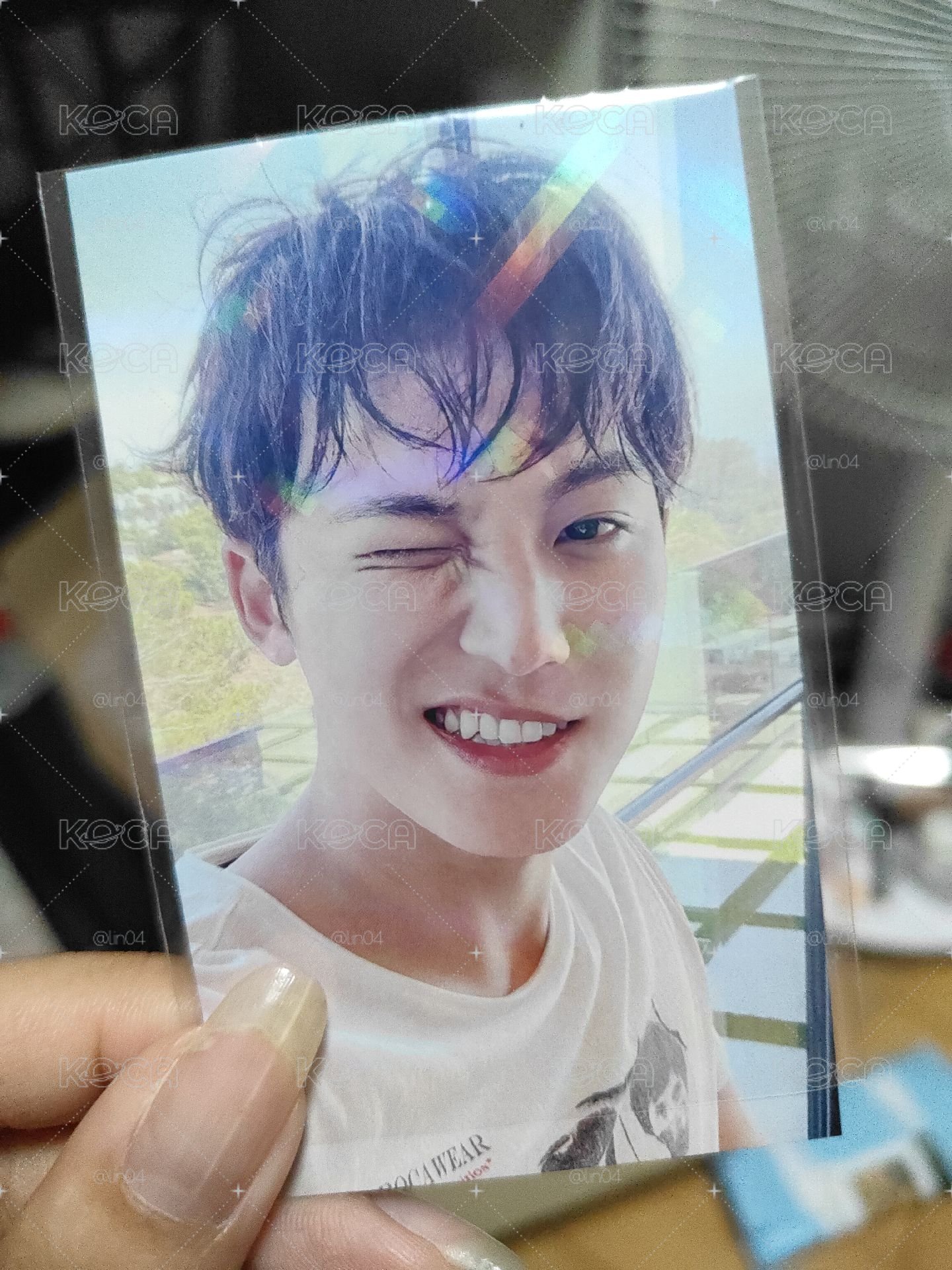 陽光狗狗🥰