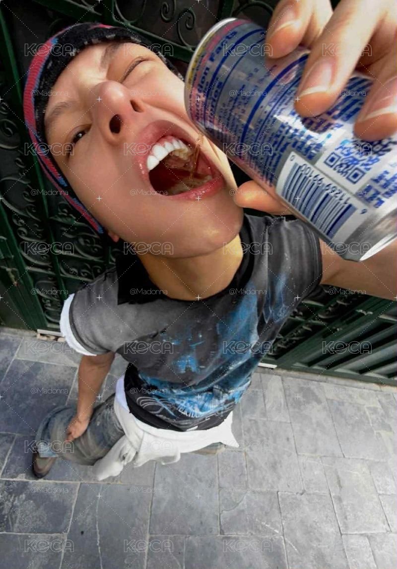 🔪一些寶貝成員們
