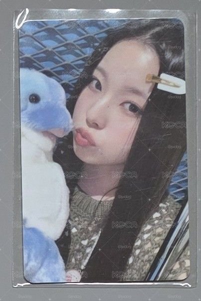 圭 603 | 海豚圭