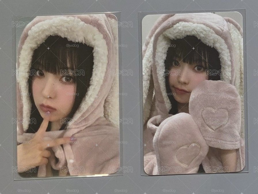 圭 608 | 兔毯圭