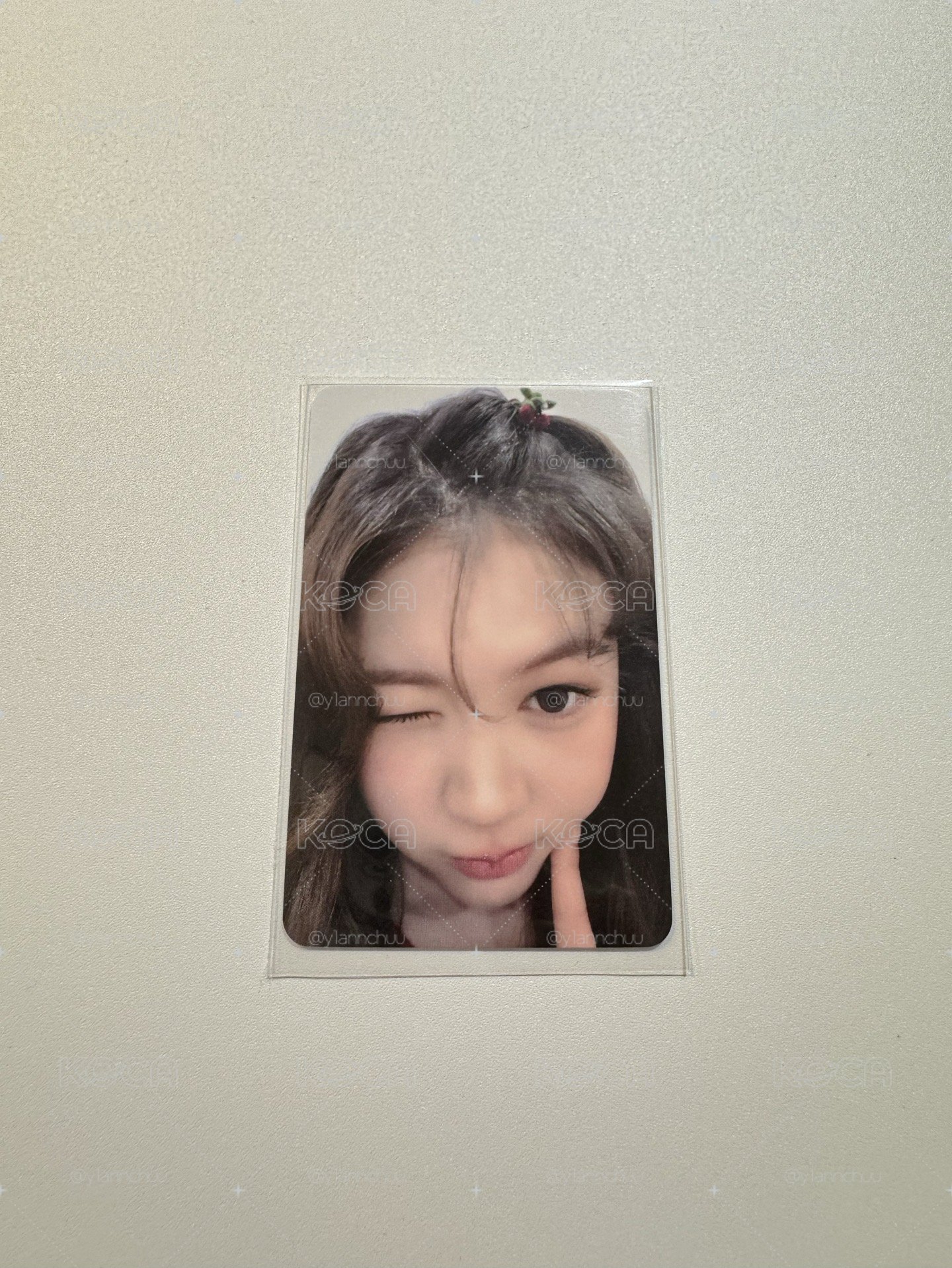 Focus hl 1.0 簽售卡