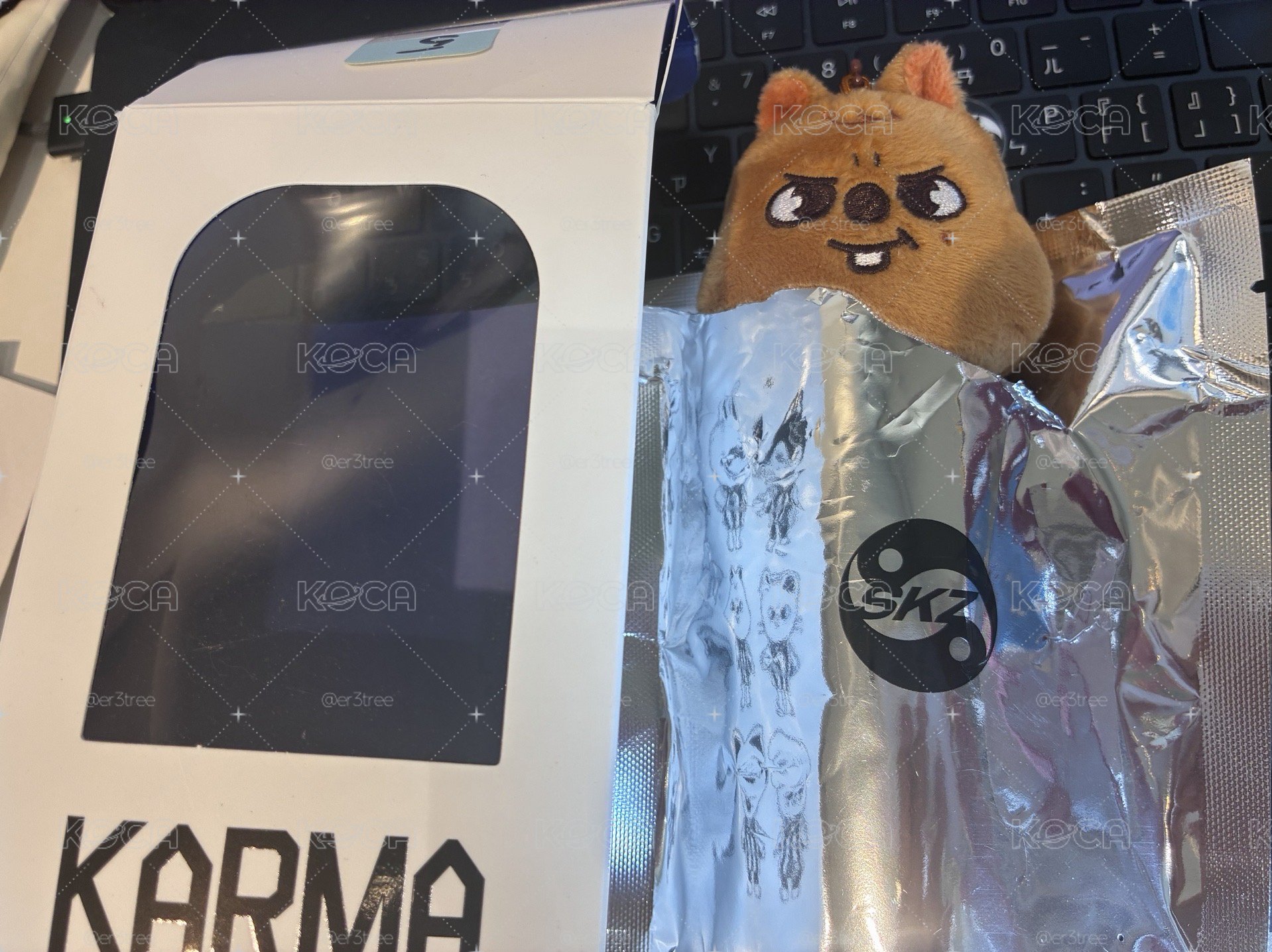 SKZ KARMA智能專 知城 韓闊卡