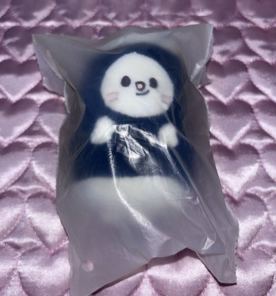 僅拆擺二手辰娃