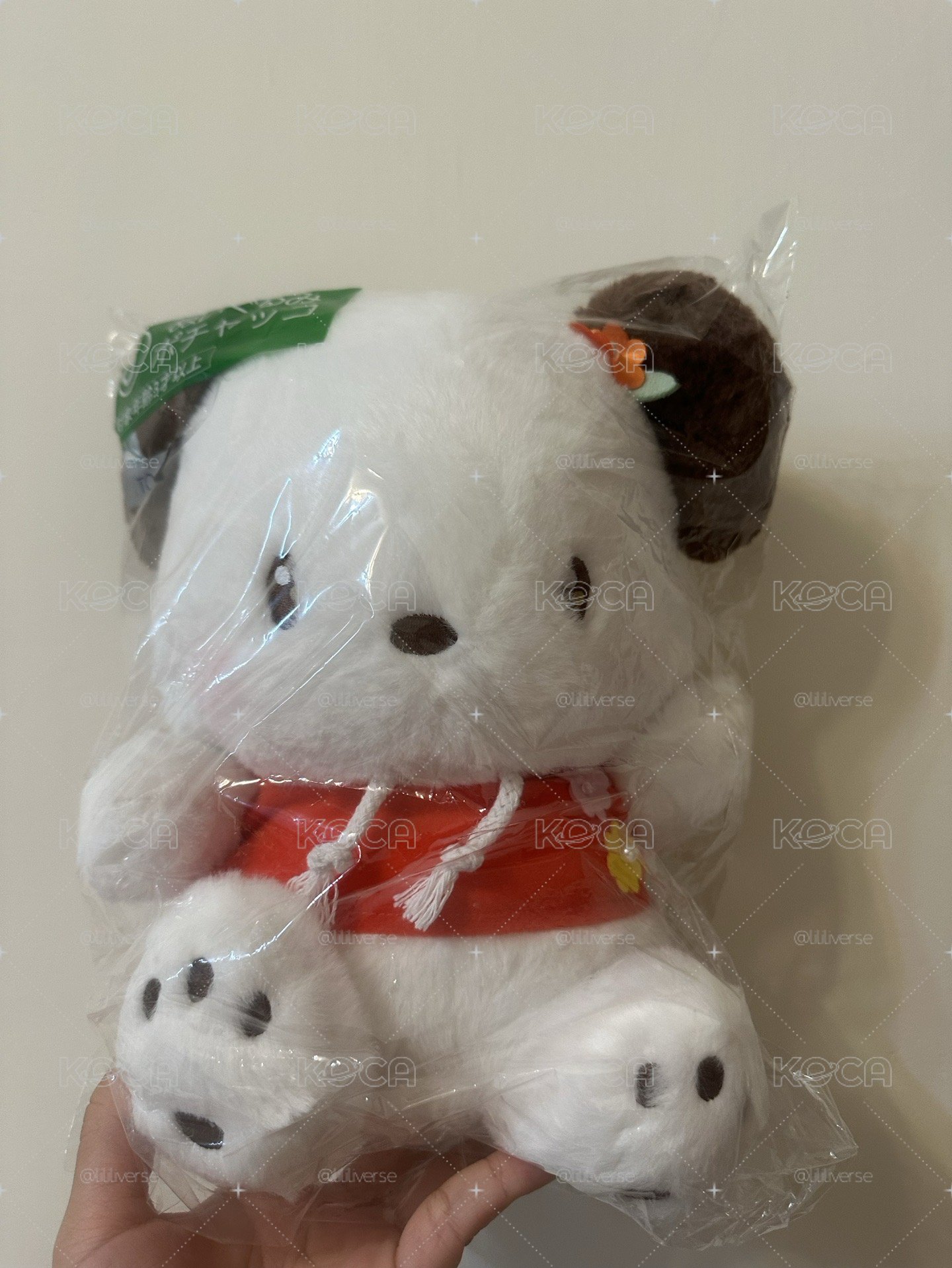 帕恰狗一番賞