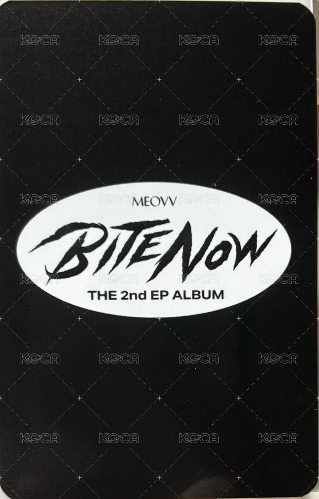 BITE NOW mp 線下 簽售卡  背面