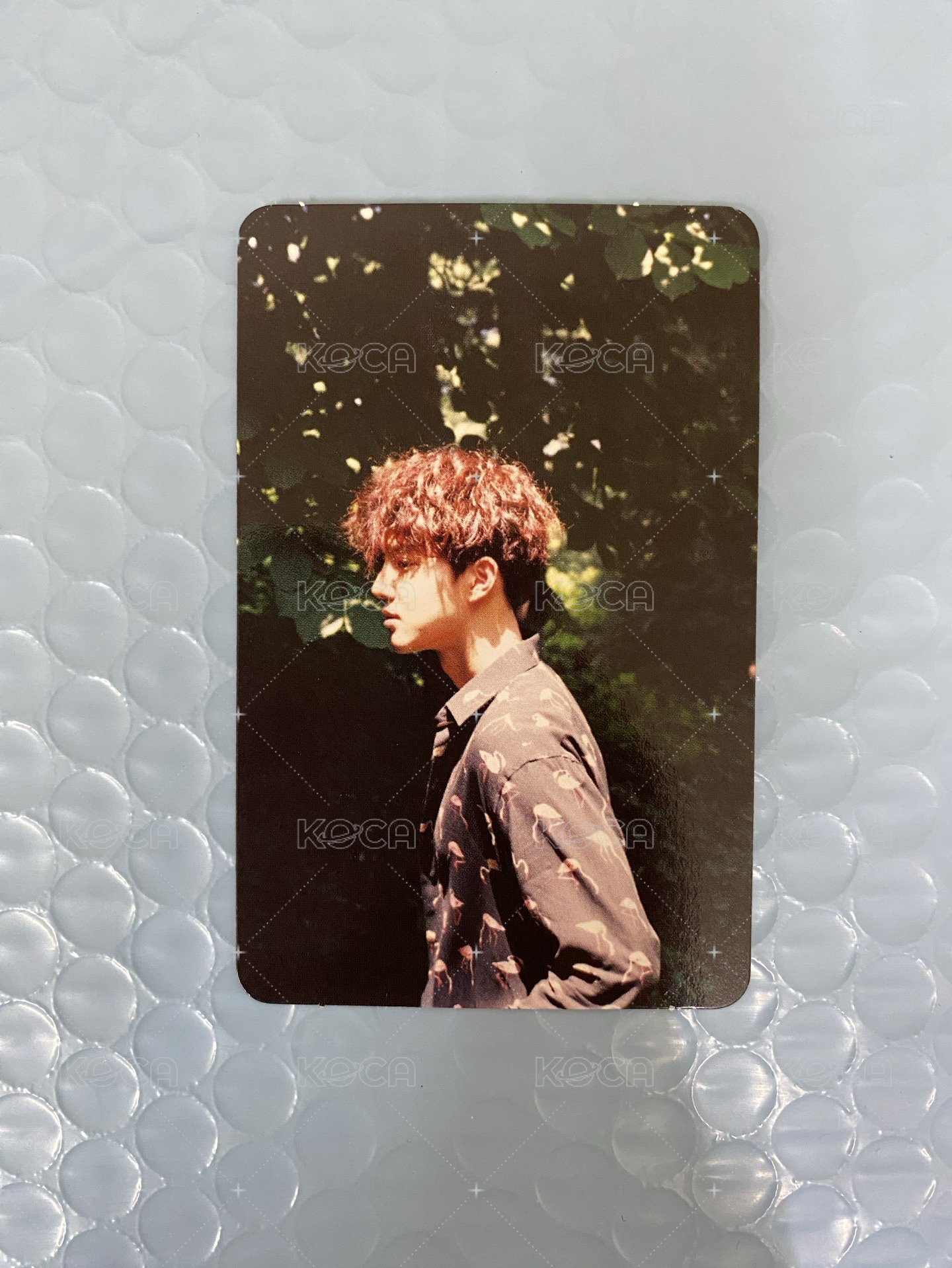 SUHO(B)