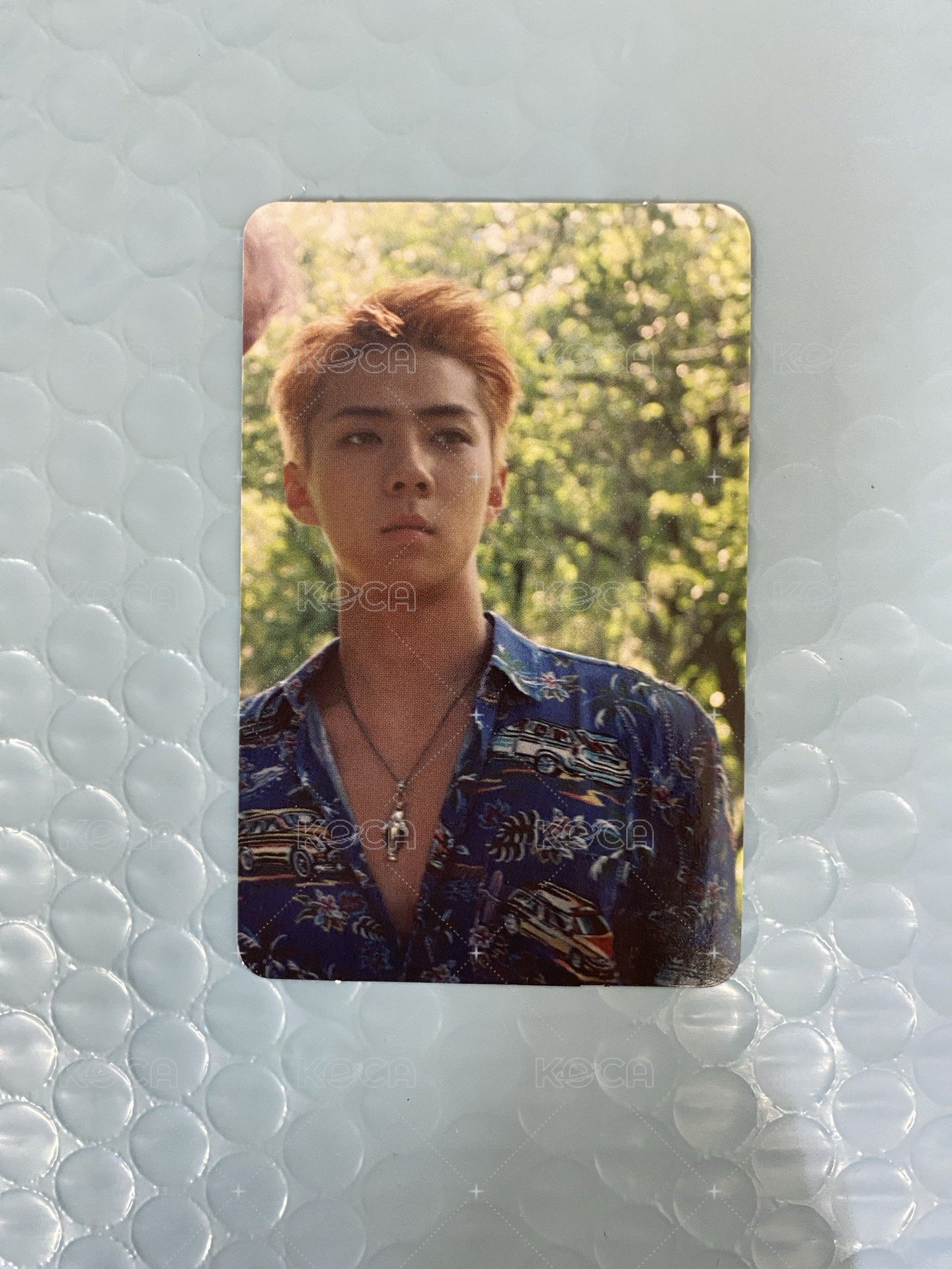 SEHUN(B)