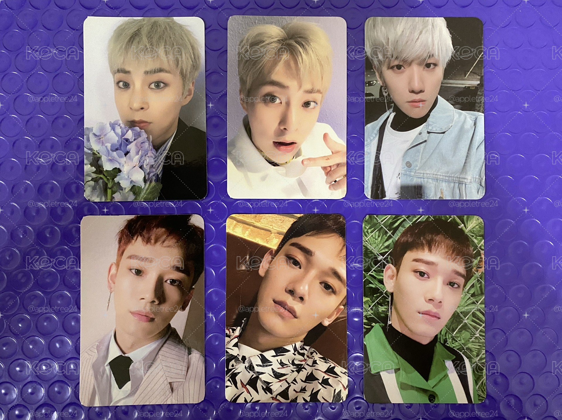 EXO BLOOMING DAYS XIUMIN BAEKHYUN CHEN 專輯小卡