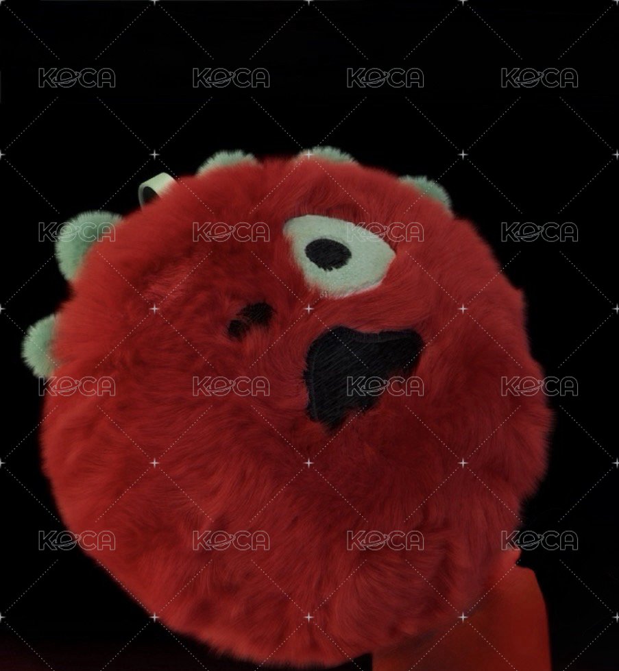 一般版