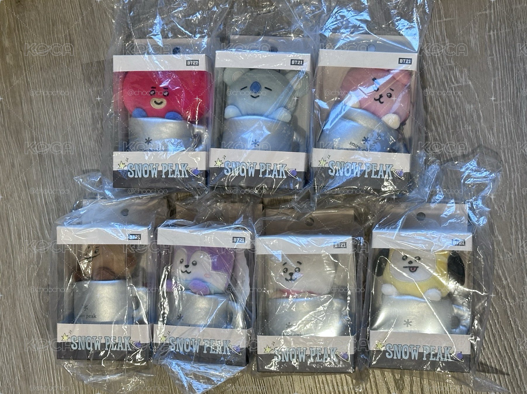 bts x snowpeak