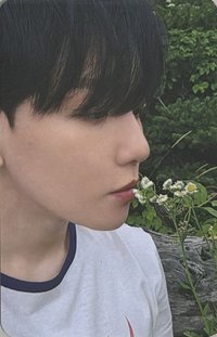bolo4 ju 簽售卡 